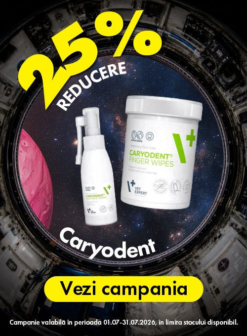 Caryodent 25% Reducere Zorii Reducerilor