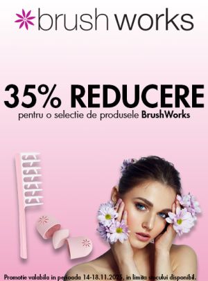Brushworks 35% Reducere Black Friday 2025
