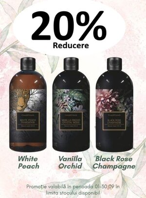 Fiona&Friends 20% Reducere Septembrie