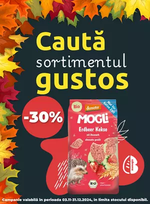 Mogli 30% Reducere Noiembrie-Decembrie