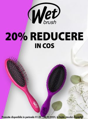 Wet Brush 20% Reducere In cos Februarie