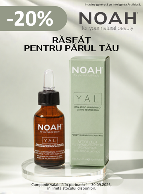 Noah 20% Reducere Septembrie