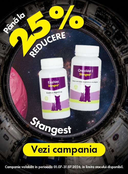 Stangest Pana la 25% Reducere Zorii Reducerilor