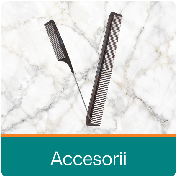 Accesorii