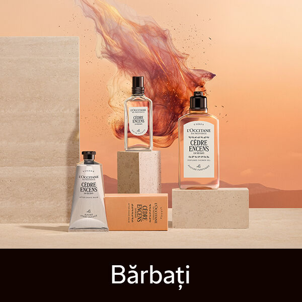 Ingrijire Barbati L'Occitane