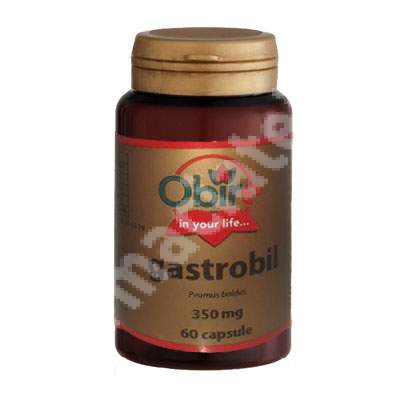 Gastrobil, 60 capsule, Obire