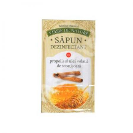 Sapun dezinfectant, 100 g, Verre de Nature