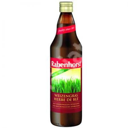 Suc Bio de Grau Verde, 750 ml, Haus Rabenhorst