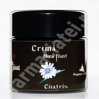 Crema Cicatris, 95 g, Nera Plant