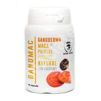 Pulbere maca si ganoderma - Ganomac, 60 capsule, King Spor