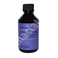 Sampon pentru parul vopsit in nuante de blond Refresh Silver Nashi, 250 ml, Landoll