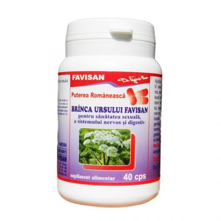 Branca ursului, 40 capsule, Favisan