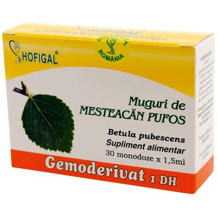 Muguri de Mesteacan pufos Gemoderivat, 30 doze, Hofigal