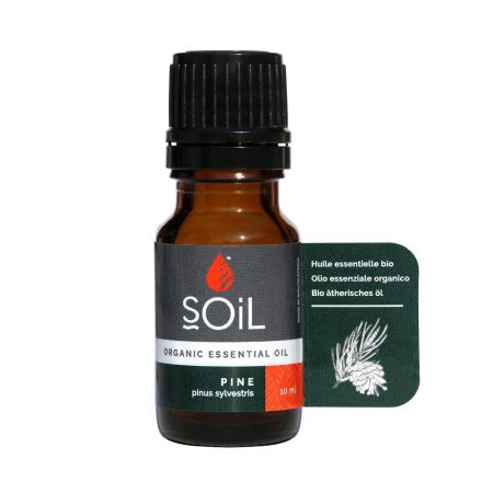 Ulei Esential Pin Pur 100% Organic, 10 ml, SOiL 