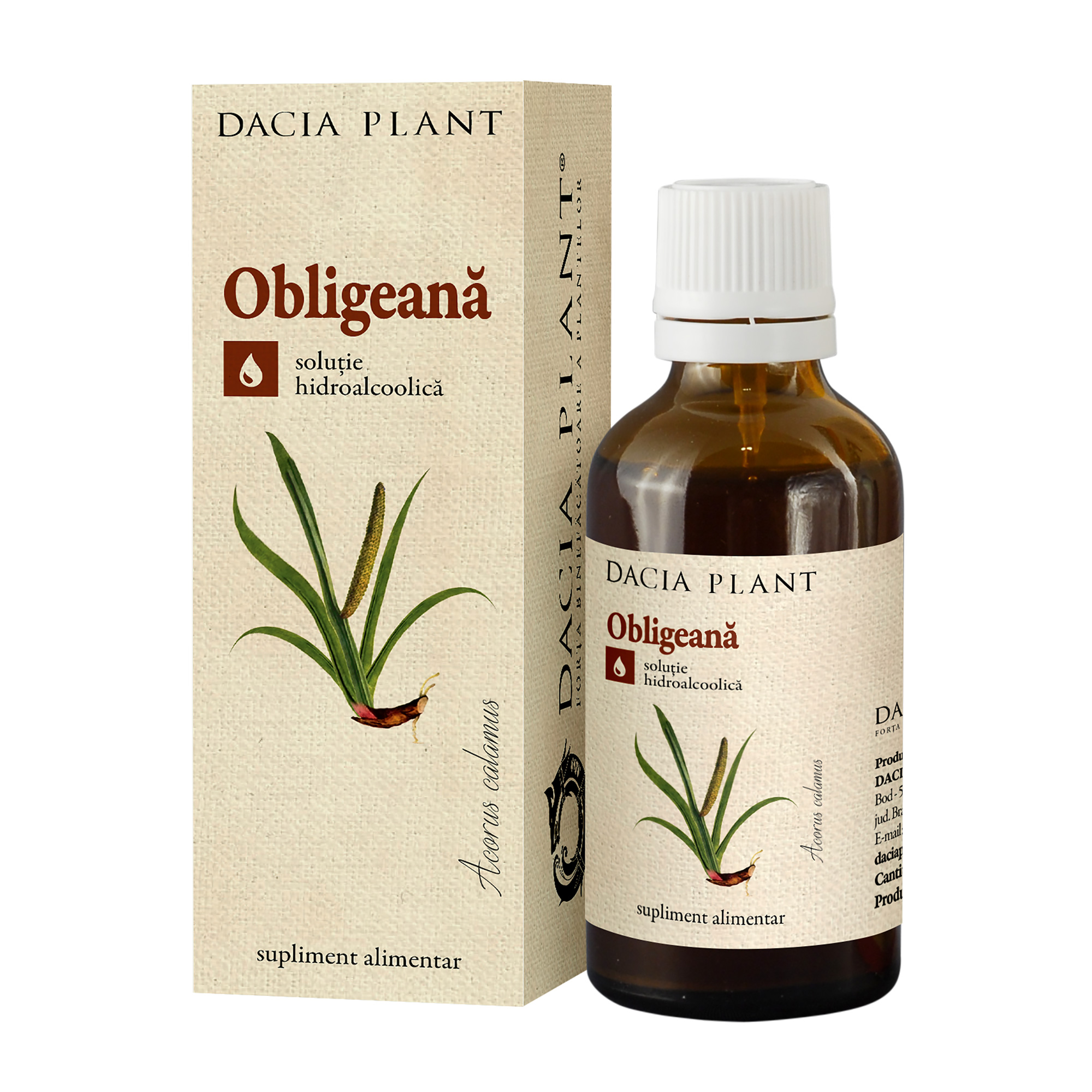 Tinctura de Obligeana, 50 ml, Dacia Plant