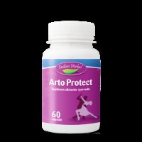 Arto Protect, 60 capsule, Indian Herbal
