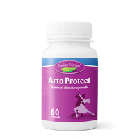 Arto Protect, 60 capsule, Indian Herbal
