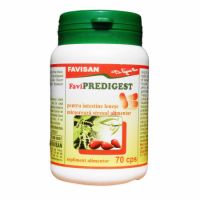 FaviPredigest, 70 capsule, Favisan