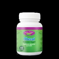 Obecol, 60 tablete, Indian Herbal