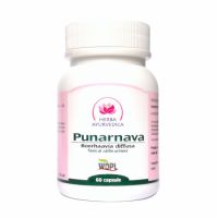 Punarnava, 60 capsule, Herba Ayurvedica