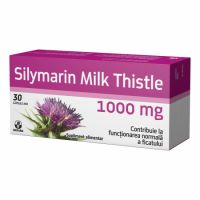 Silymarin Milk Thistle, 1000mg, 30 capsule, Biofarm