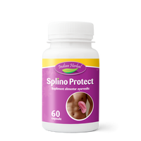 Splino Protect, 60 capsule, Indian Herbal