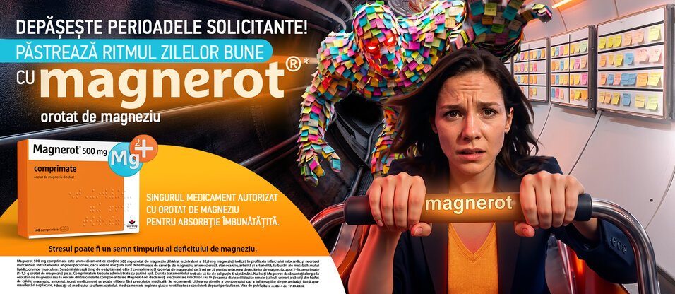 Magnerot, 500 mg, 100 comprimate, Worwag Pharma